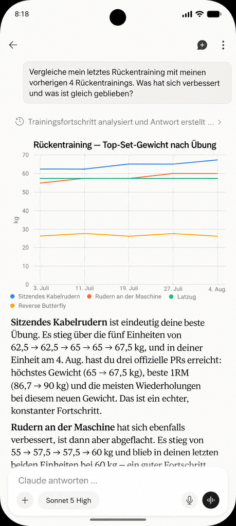Claude vergleicht ein abgeschlossenes Rückentraining aus Setlane mit früheren Rückeneinheiten